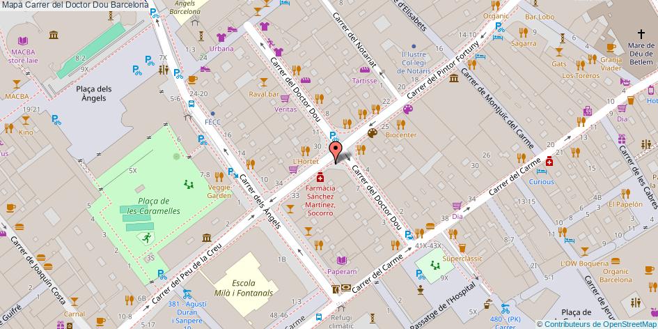 Carrer del Doctor Dou Barcelona