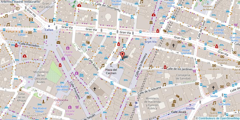 mapa Artemisa restaurante Madrid