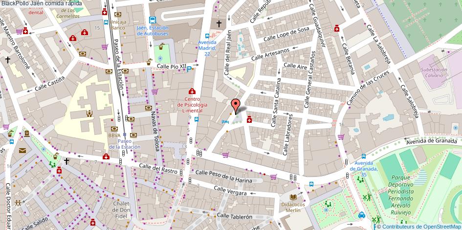 mapa BlackPollo comida rápida Jaén