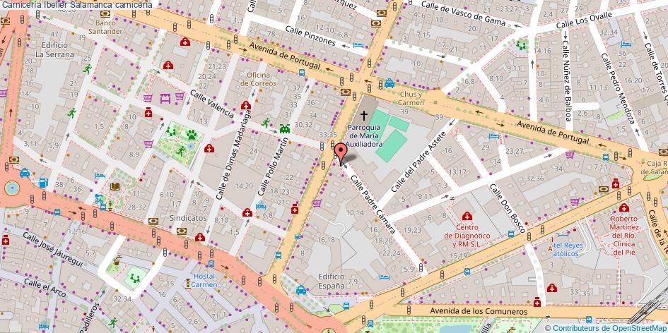 mapa Carnicería Ibelier carnicería Salamanca