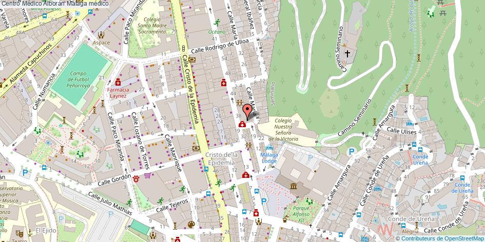 mapa Centro Médico Alborán médico Málaga