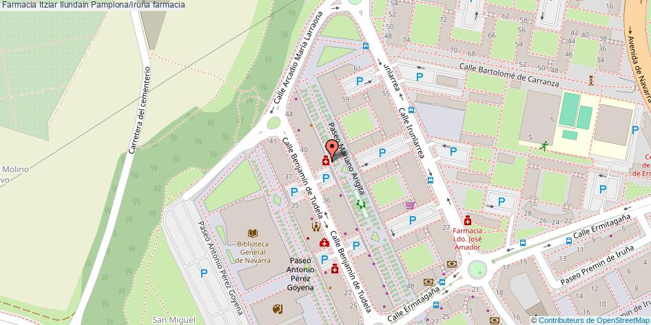 mapa Farmacia Itziar Ilundain farmacia Pamplona/Iruña