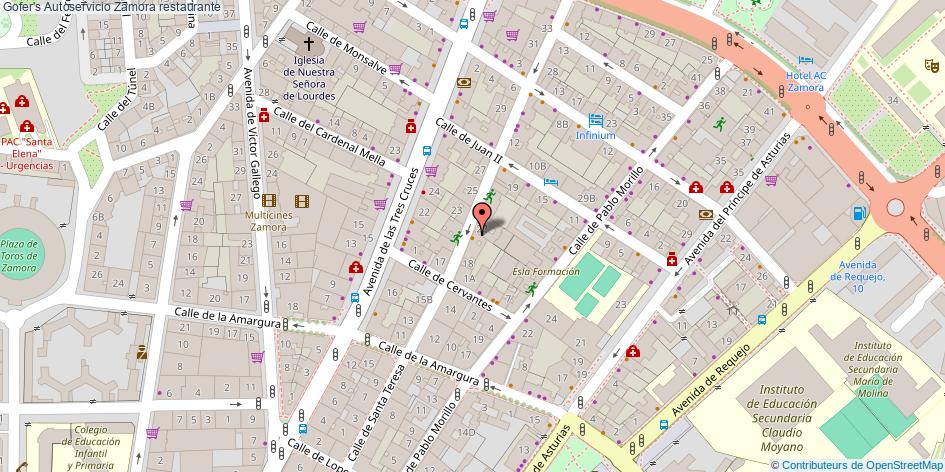mapa Gofer's Autoservicio restaurante Zamora