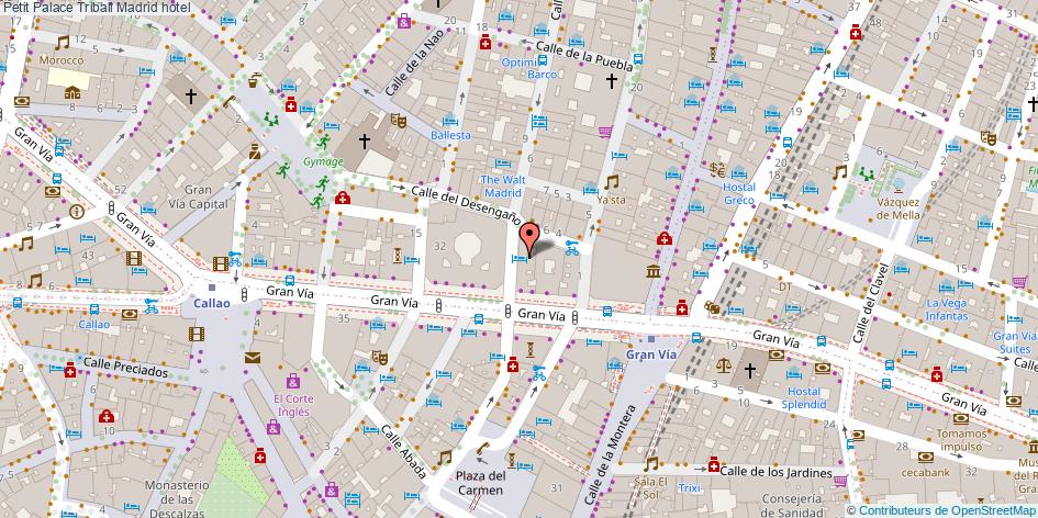 mapa Petit Palace Triball hotel Madrid