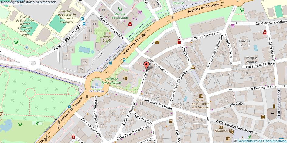 mapa Recológica minimercado Móstoles