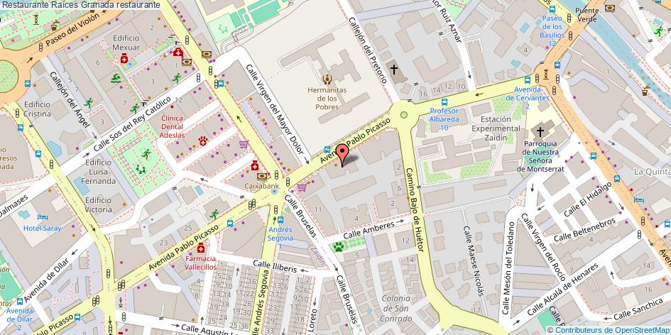 mapa Restaurante Raíces restaurante Granada