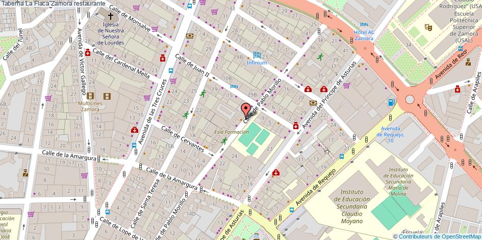 mapa Taberna La Flaca restaurante Zamora