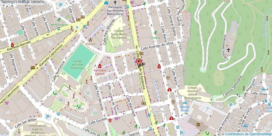 mapa Tejeringo's cafetería Málaga